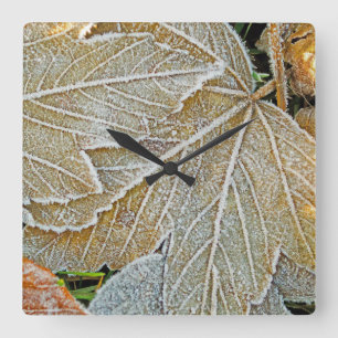 Frozen Leaves Wall Clock