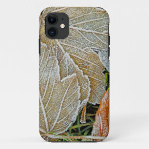 Frozen Maple iPhone 5 Case