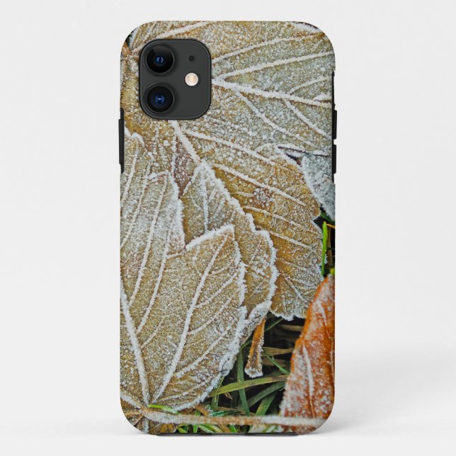 Frozen Maple iPhone 5 Case (Back)