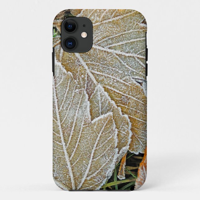 Frozen Maple iPhone 5 Casemate Case (Back)