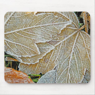 Frozen Maple Mouse Pad