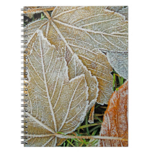 Frozen Maple Notebook