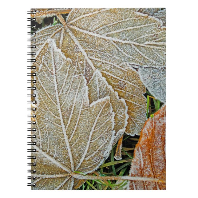 Frozen Maple Notebook (Front)
