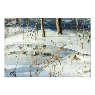 Frozen Marsh Ice Winter Scenery Fine Art Photo Print