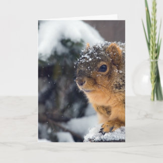 Frozen Nuts Get Well Soon Card