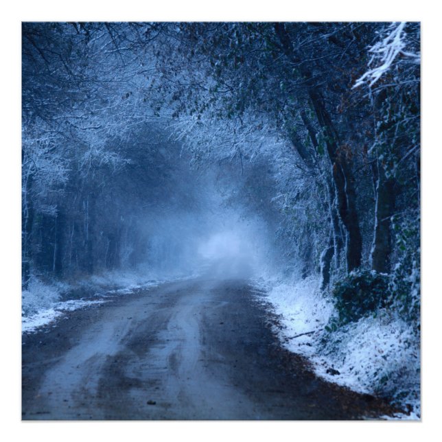 Frozen Photo Print (Front)