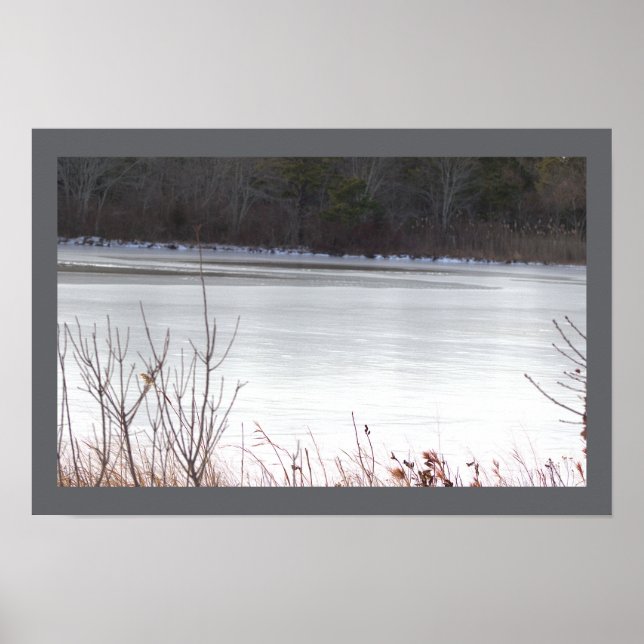 Frozen Pond Poster (Front)