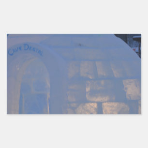 Frozen rectangular sticker