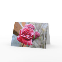 Frozen Rose Greeting Card