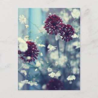 Frozen Summer Postcard