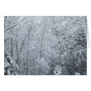 Frozen Trees-Blank Card