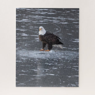 Frozen Waters Eagle Puzzle