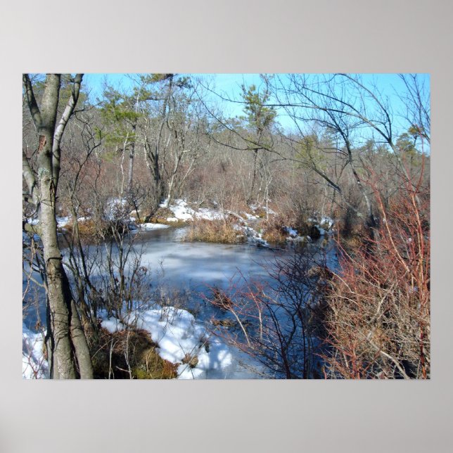 Frozen Wetlands Pond Poster (Front)