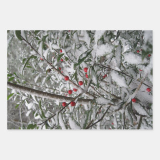 Frozen Wrapping Paper Sheet