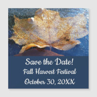 Frozen Yellow Maple Leaf Autumn Nature