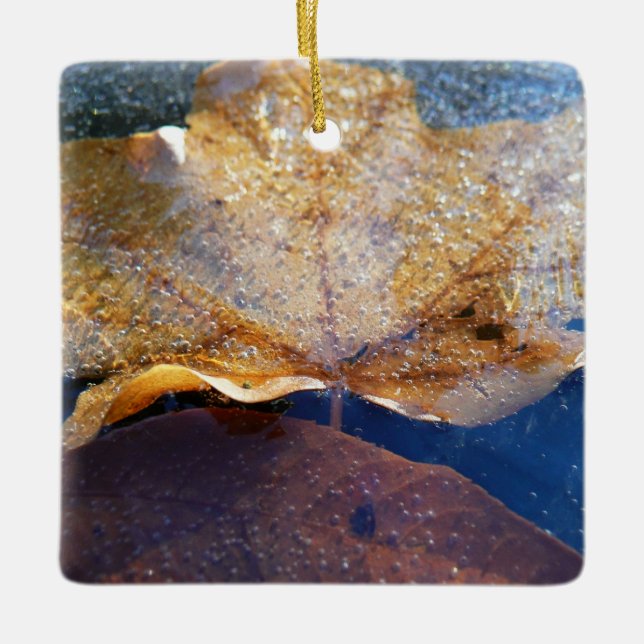 Frozen Yellow Maple Leaf Autumn Nature Ceramic Tree Decoration (Front)