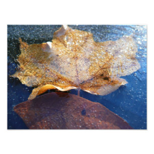 Frozen Yellow Maple Leaf Autumn Nature Photo Print