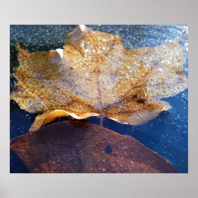 Frozen Yellow Maple Leaf Autumn Nature Poster (Front)