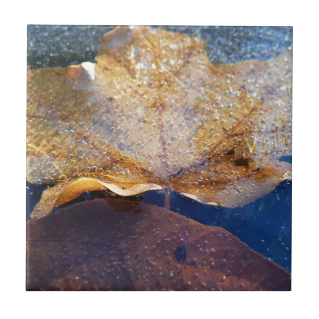 Frozen Yellow Maple Leaf Autumn Nature Tile (Front)