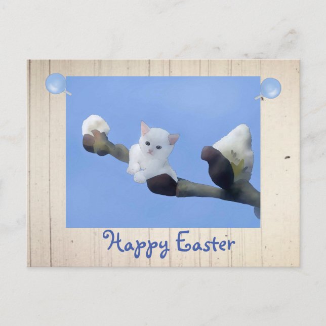 Frühlingskätzchen Postcard (Front)