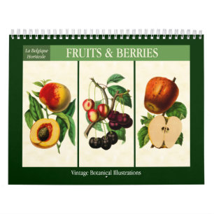 Fruit and Berries Vintage Botanical 2027 Calendar