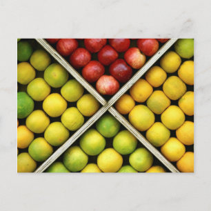 Fruit and Food Postcard 10