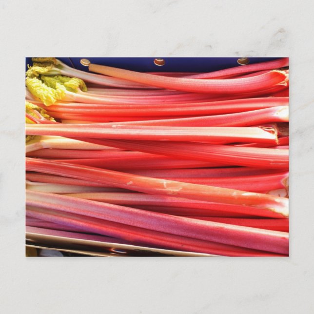 Fruit and Food Postcard 108 (Front)