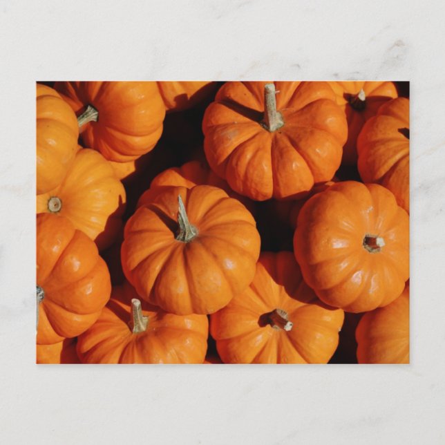 Fruit and Food Postcard 17 (Front)