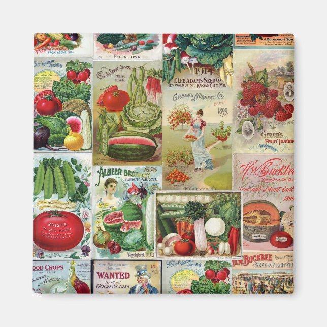 Fruit and Veggies Seed Catalogue Collage Magnet (Front)