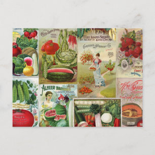 Fruit and Veggies Seed Catalogue Collage Postcard