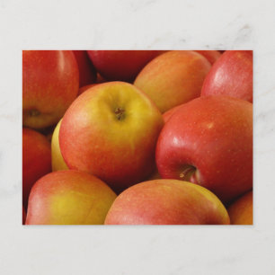 Fruit Apples Autumn Colours Destiny Postcard