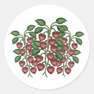 Fruit Classic Round Sticker