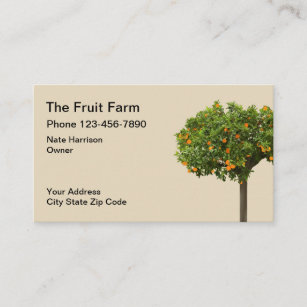 Fruit Farm Orange Tree Design Business Card