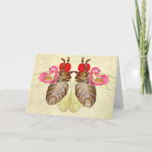 Fruit Flies Exchange Banana Valentines Holiday Card