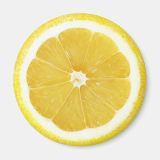 Fruit Magnet Series -Lemon-