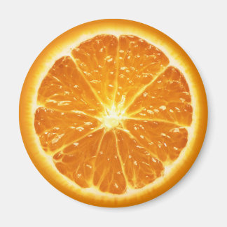 Fruit Magnet Series -Orange-