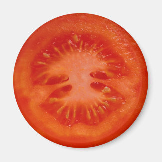 Fruit Magnet Series -Tomato-