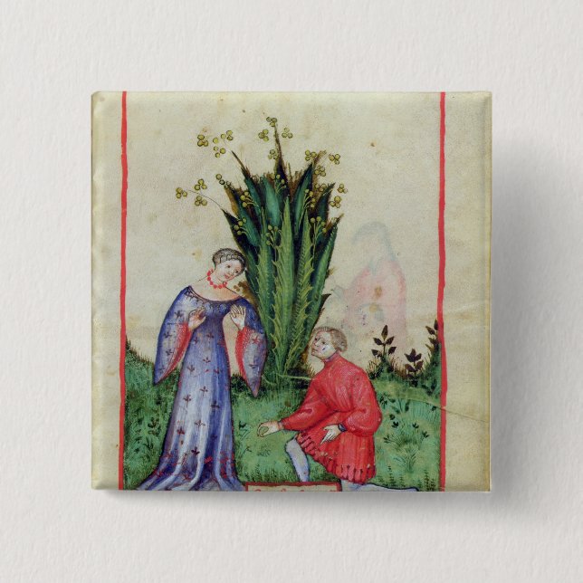 Fruit of Mandrake, from' Tacuinum Sanitatis' 15 Cm Square Badge (Front)