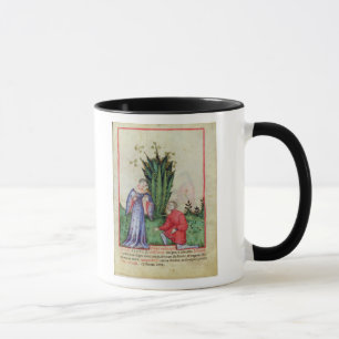 Fruit of Mandrake, from' Tacuinum Sanitatis' Mug