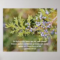 Fruit of the Spirit Nature Scripture Photo Art