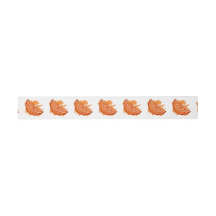 Fruit Patterns Blood Orange Invitation Belly Band