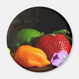 fruit-still-life magnet