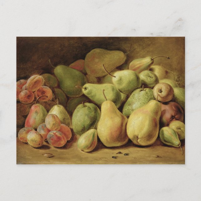 Fruit Still Life Postcard (Front)