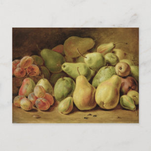 Fruit Still Life Postcard