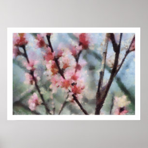 Fruit Tree Blossom Artwork Poster
