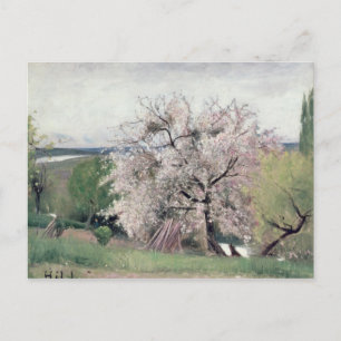 Fruit Tree in Blossom, Bois-le-Roi Postcard