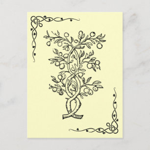 Fruit Tree Postcard