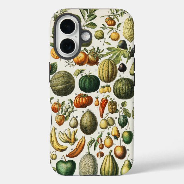 Fruit Vegetable Botanical Scientific Illustration Case-Mate iPhone Case (Back)