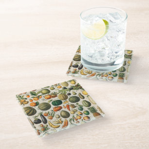 Fruit Vegetable Botanical Scientific Illustration Glass Coaster