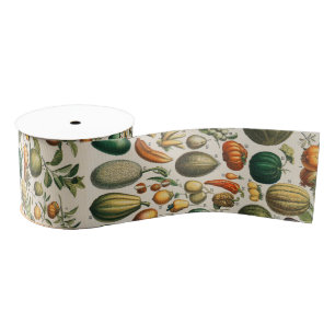 Fruit Vegetable Botanical Scientific Illustration Grosgrain Ribbon